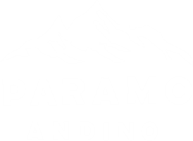 logo-version-blanca- comercio-exterior- trader-and-broker